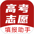 企鹅志愿