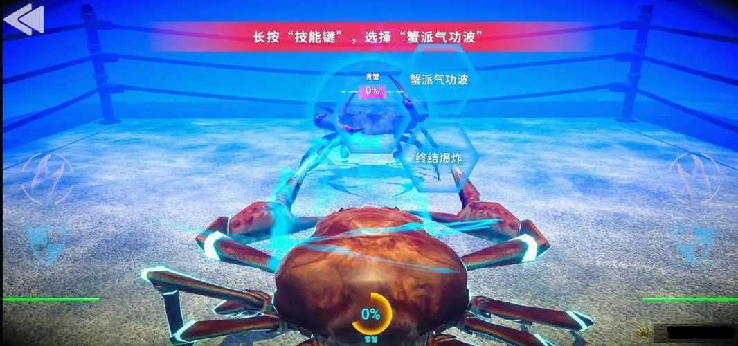 蟹王争霸