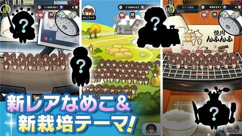 菇菇栽培研究室