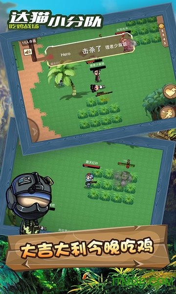 达猫小分队炼金