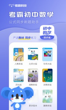 初中数字