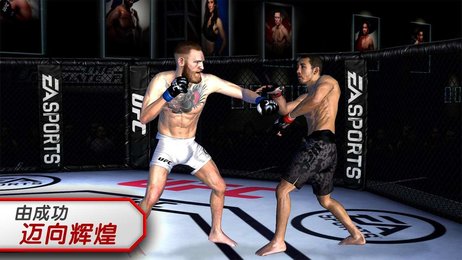 ufc斗士