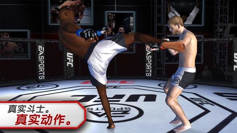 ufc斗士