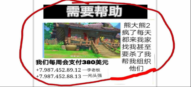 熊出没的五夜后宫