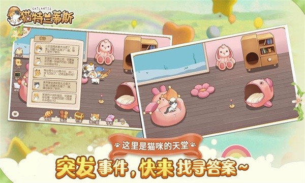 猫猫狗狗一起玩