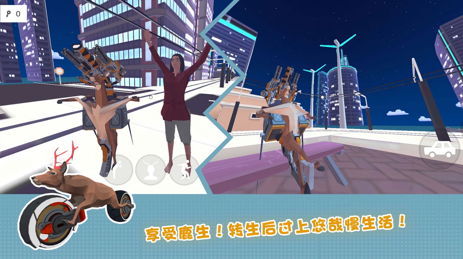 疯狂动物在哪里