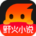 野火小说