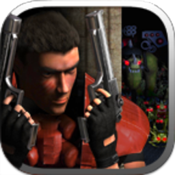 孤胆枪手2中文版