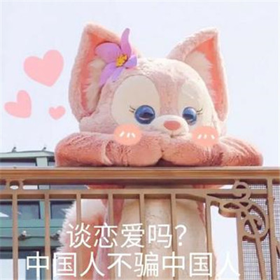 中国人不骗中国人表情包