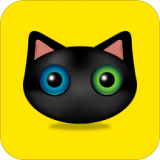 猫狗成长记录相机