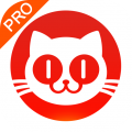 猫眼专业版app