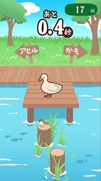 家鸭or野鸭