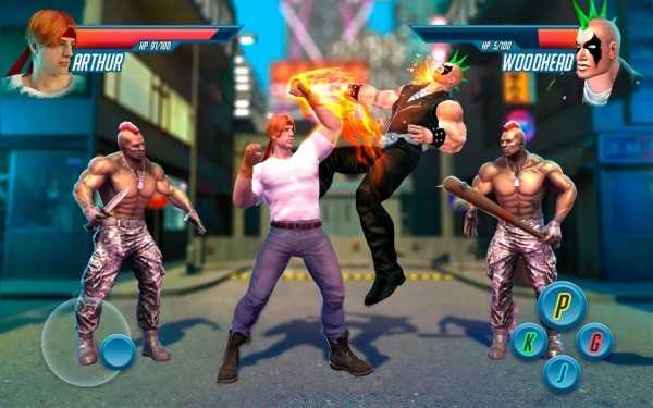 功夫王格斗冠军