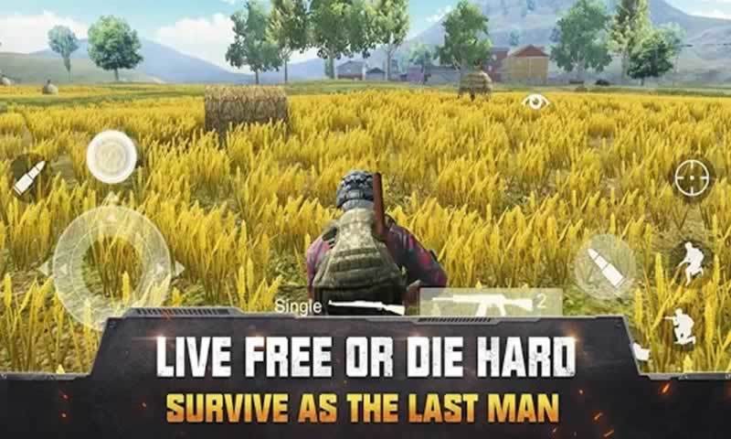 生存小队 生存小队