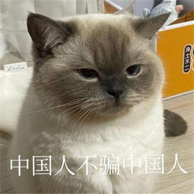 中国人不骗中国人表情包