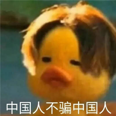 中国人不骗中国人表情包