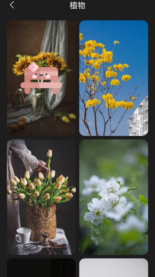 布丁壁纸app最新版