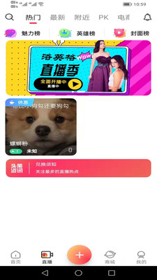 洛英格购物