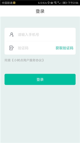 小树点