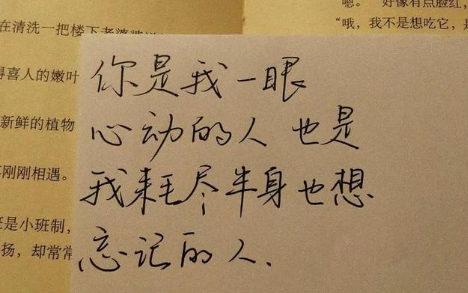 20211202完全对称日图片