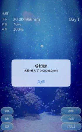 养育水母的治愈