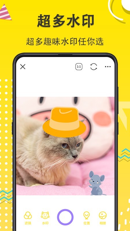 猫狗成长记录相机