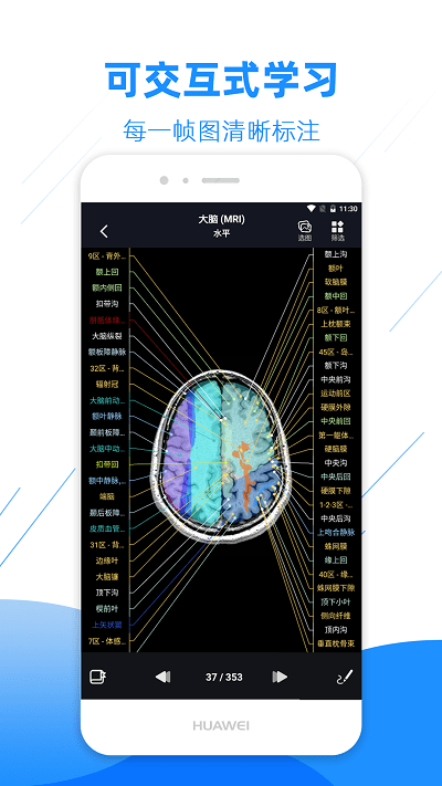 影像解剖图谱app